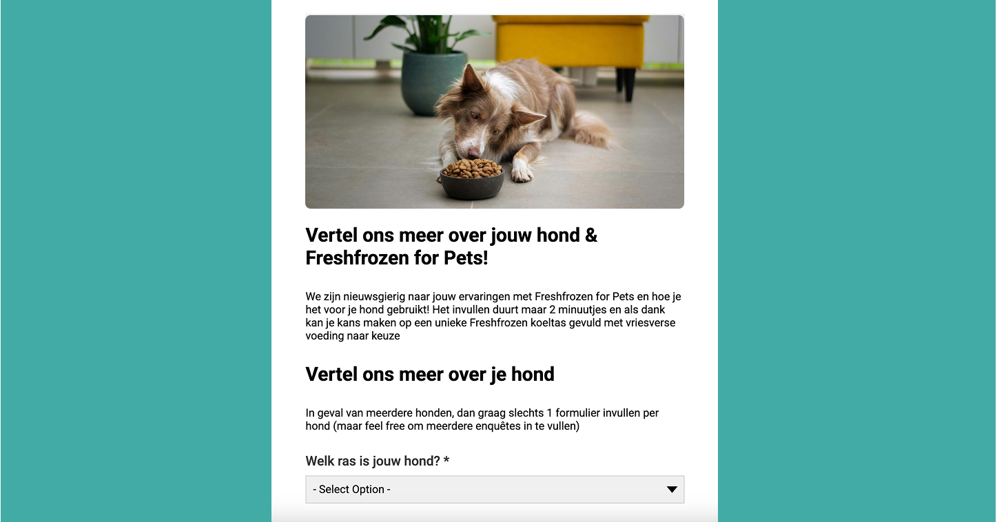 Pet food brand looking for marketing campaign ideas with the help of a customer feedback survey