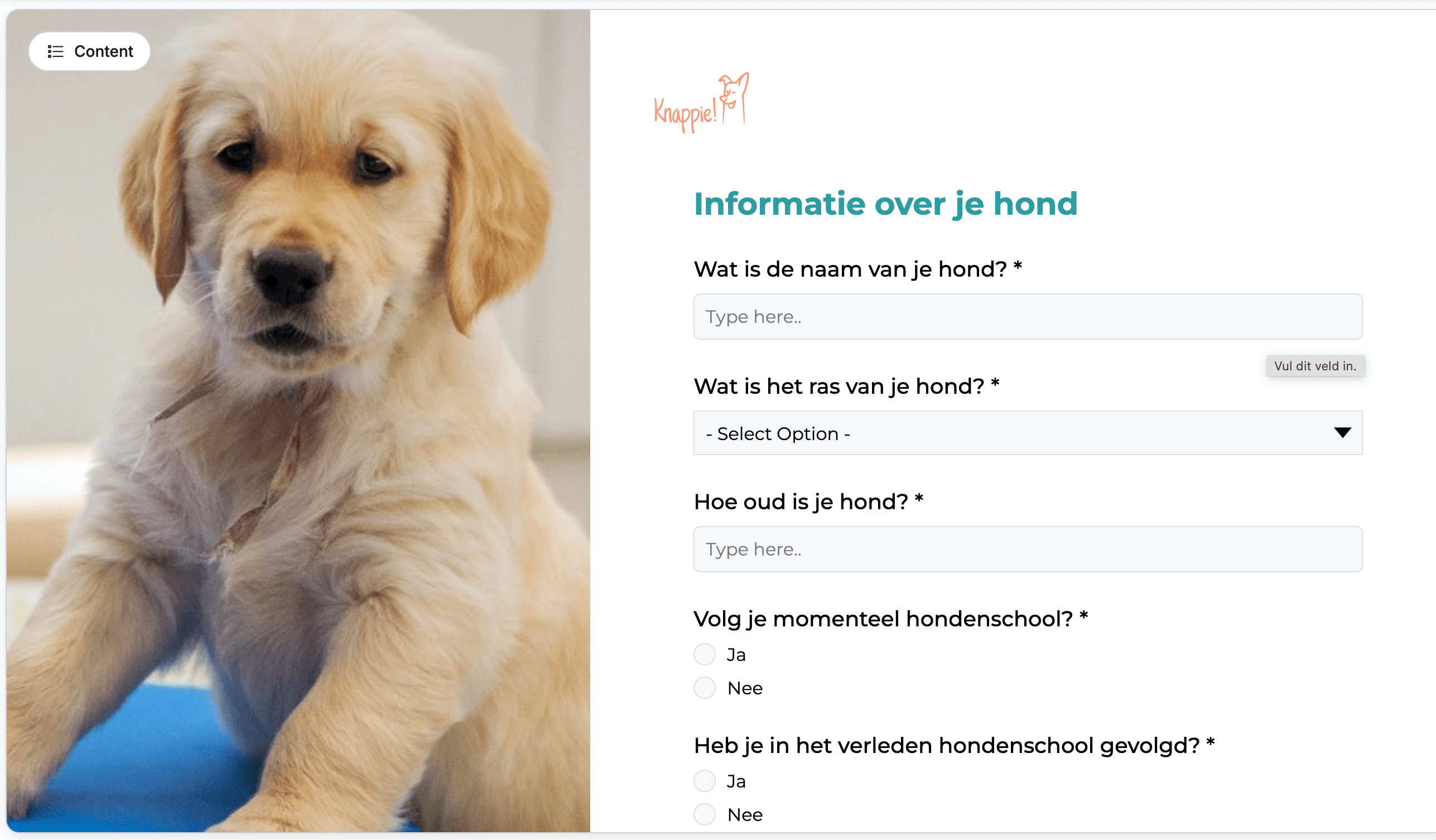 A survey ran by a dog coach that dives into audience's expectations, pain points and preferences
