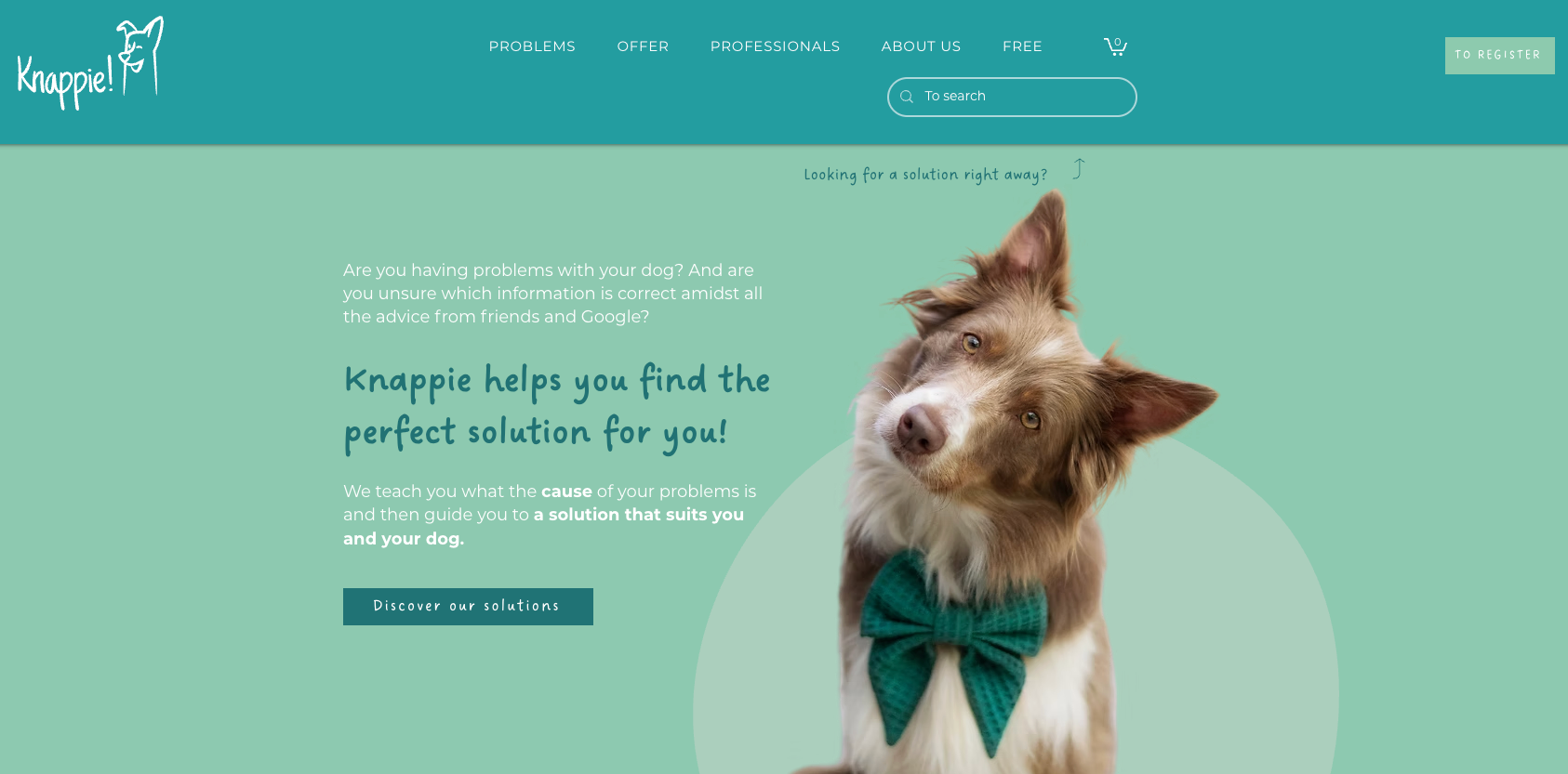 Knappie is a dog coaching service that wanted to get a better understanding of their audience