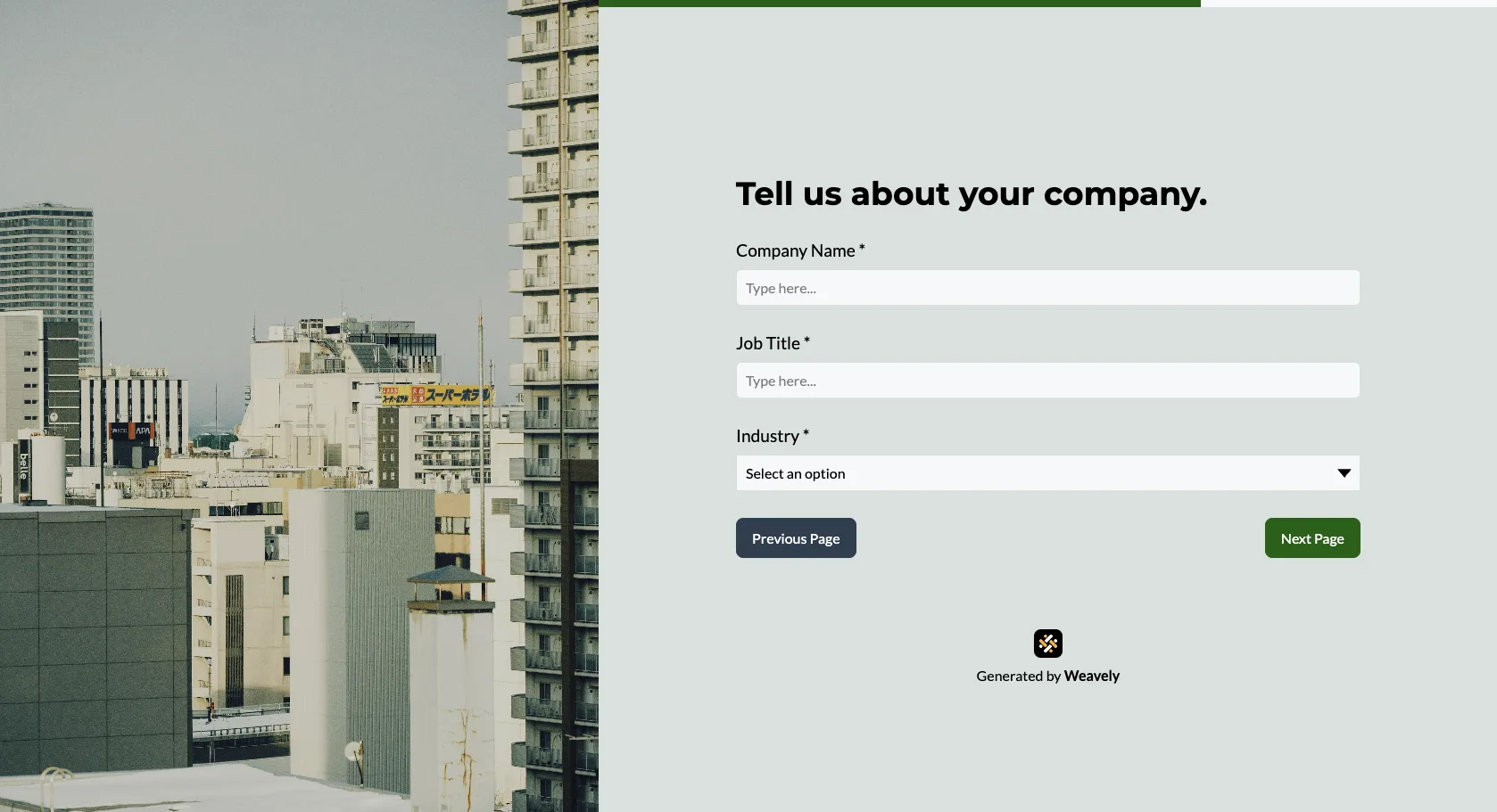 multi-page lead generation form with a progress bar