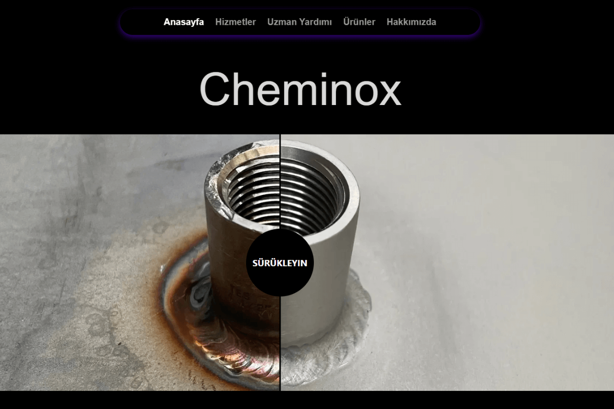 WordPress Web Site Örnekleri