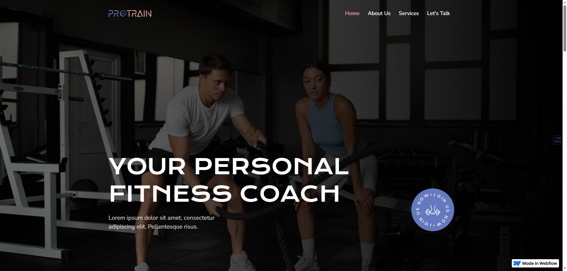 Protrain — Kurumsal Webflow örneği