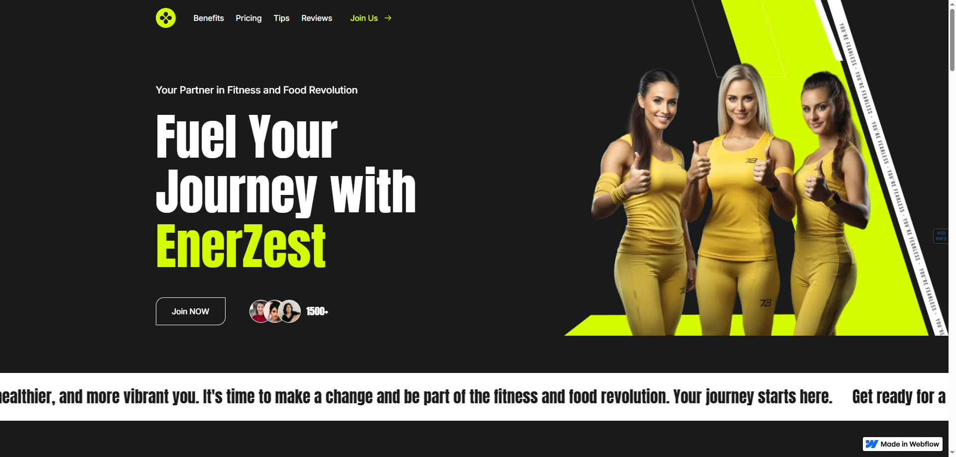 EnerZestd — Kurumsal Webflow örneği