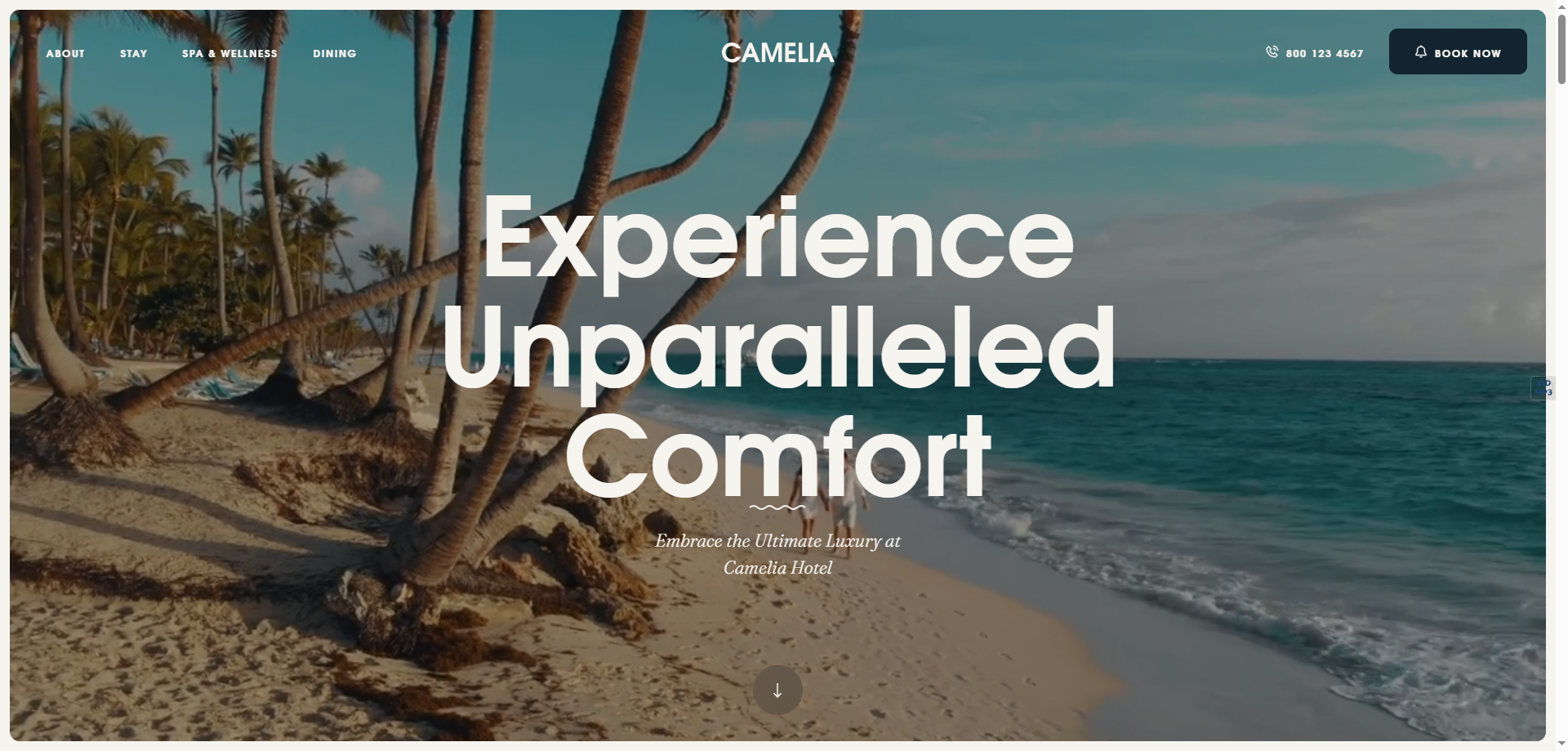 Camelia — Otel Webflow örneği
