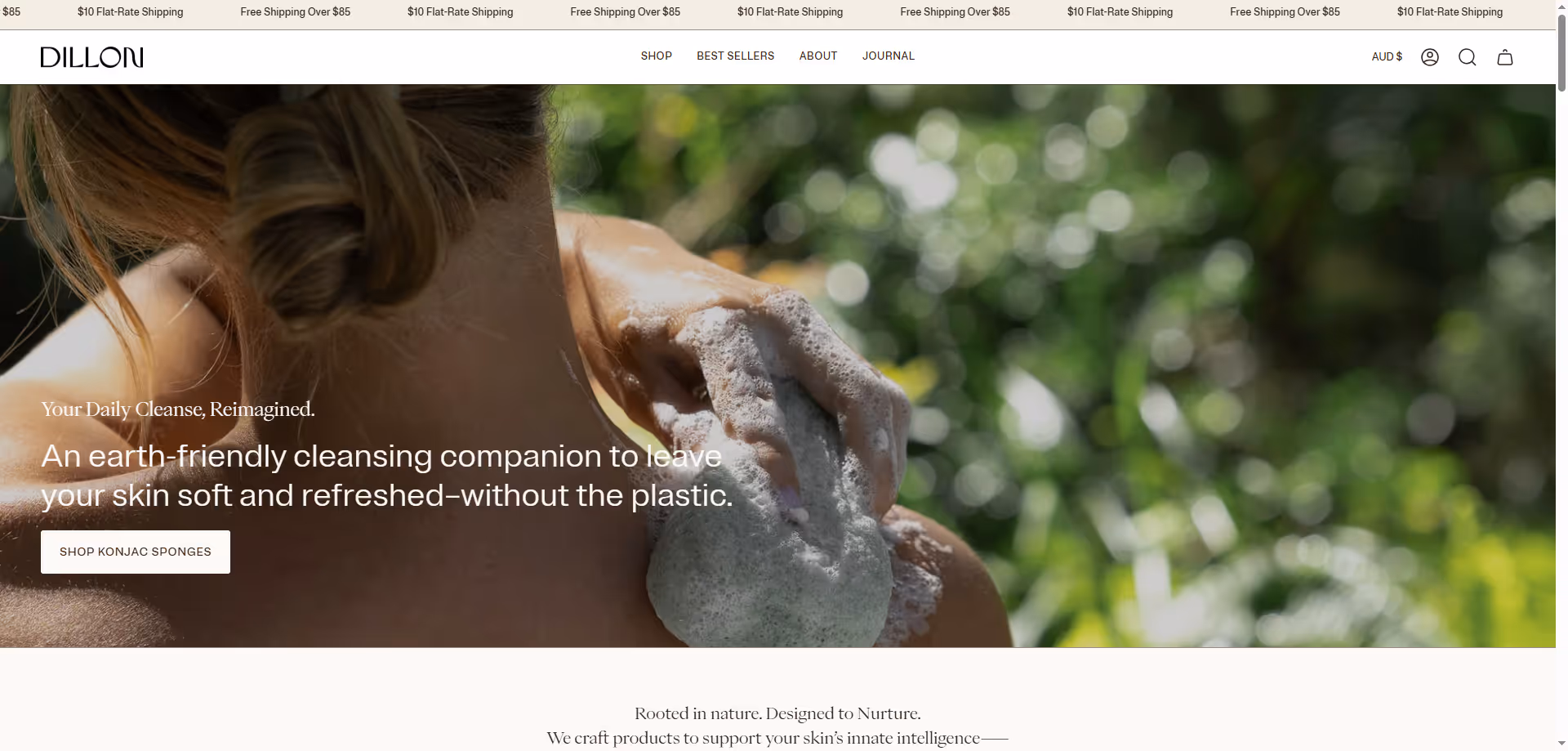 Shopify web site tasarım Örnekleri ve Şablonları