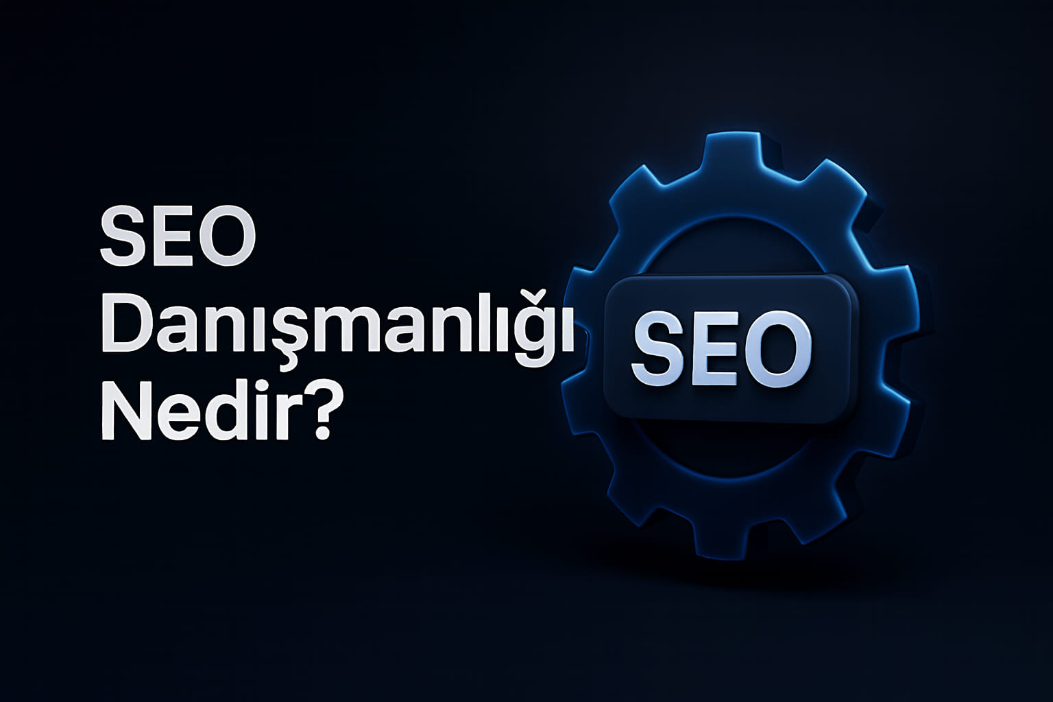 SEO Danışmanlığı Nedir? Profesyonel SEO Desteği Nasıl Alınır?