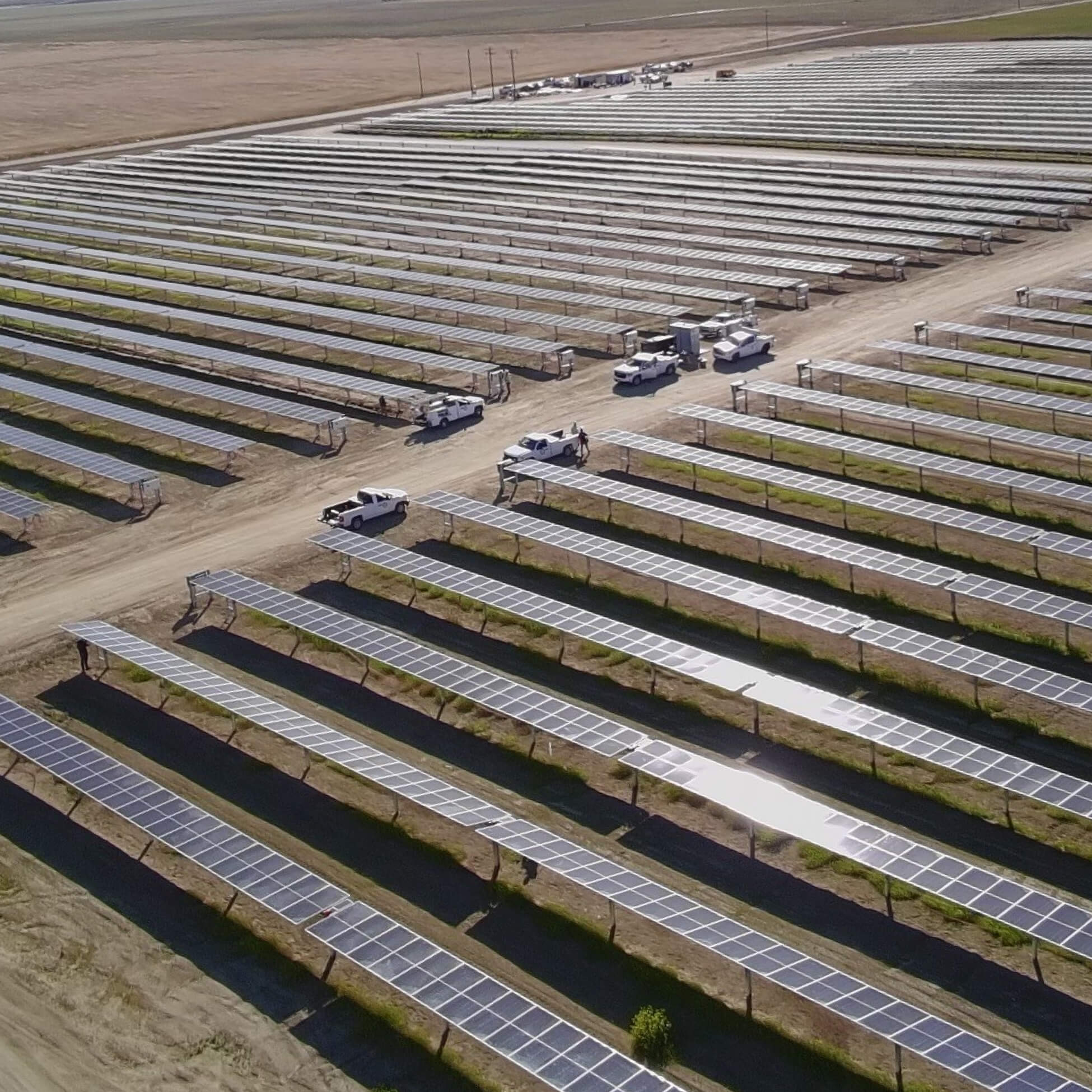 Large solar farm with rows of solar panels and several white trucks parked on dirt paths.