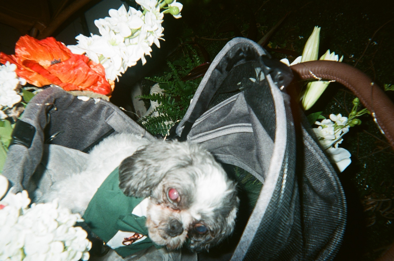 Disposable camera photo from Kate & Matt's wedding