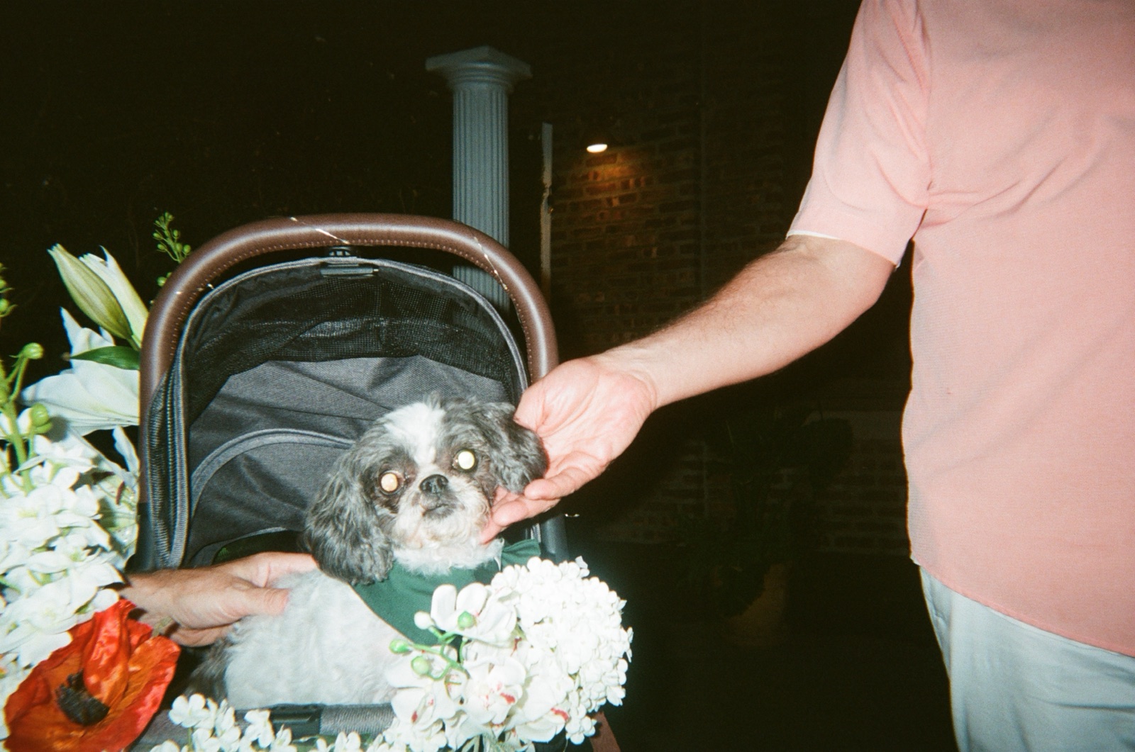 Disposable camera photo from Kate & Matt's wedding