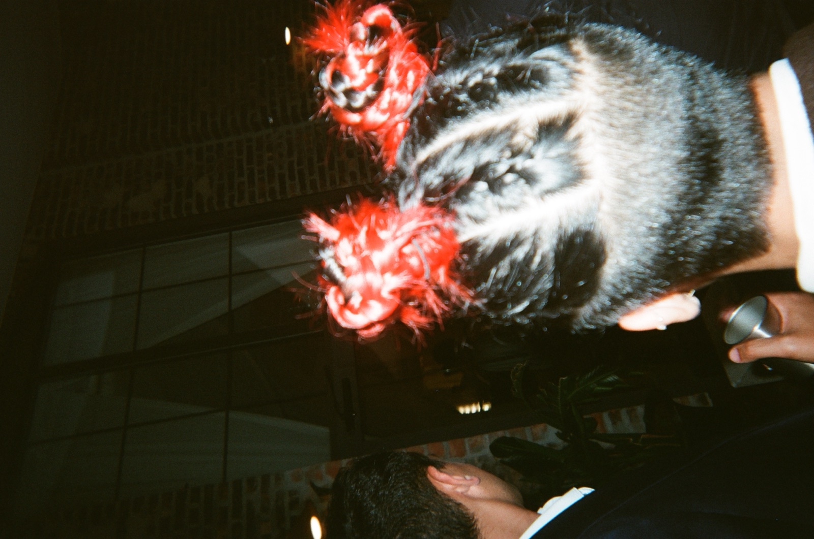 Disposable camera photo from Kate & Matt's wedding