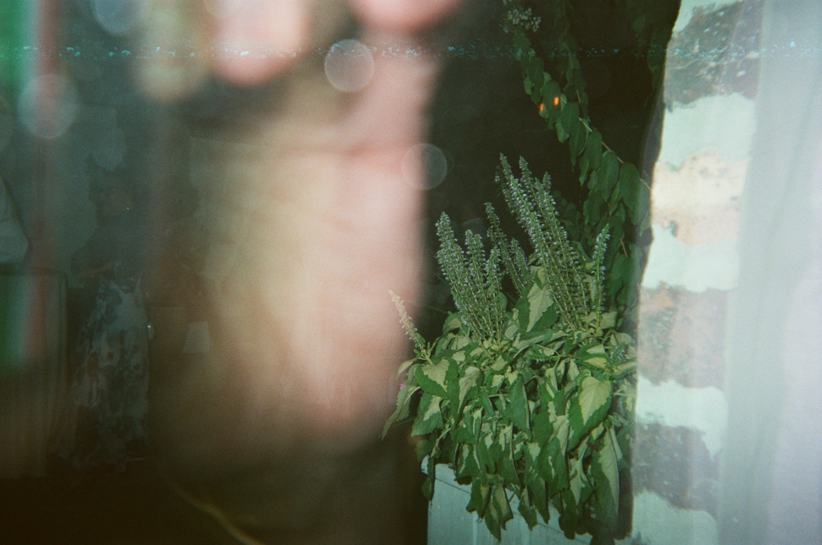 Disposable camera photo from Kate & Matt's wedding