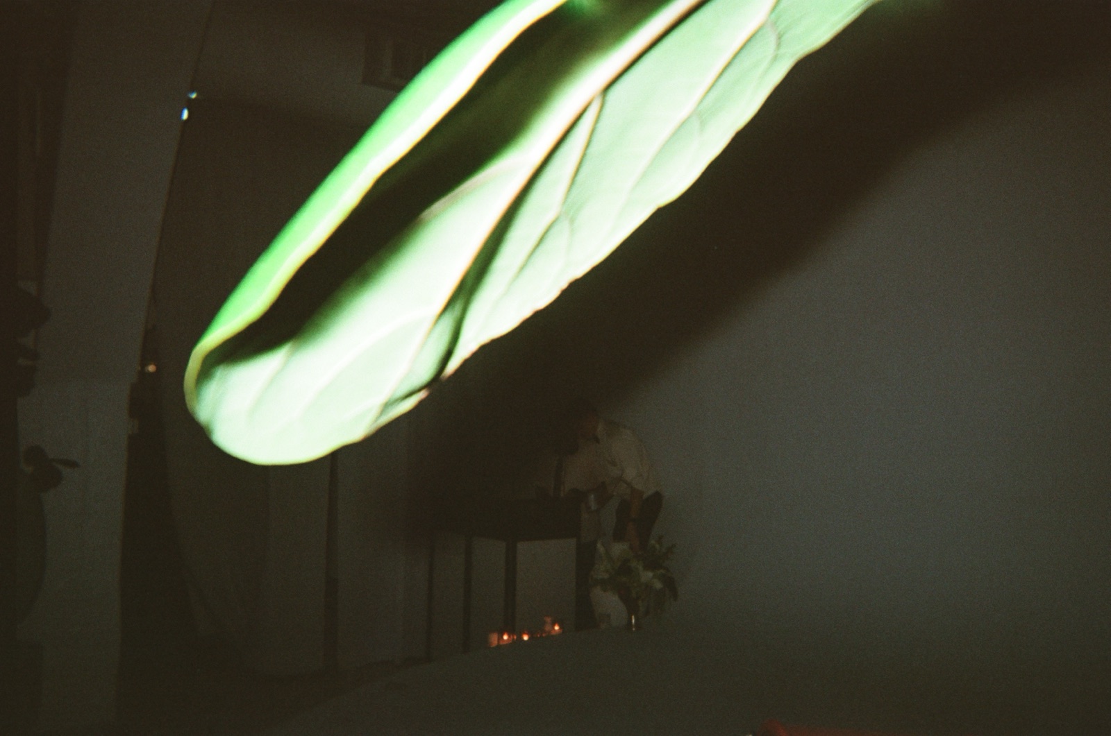 Disposable camera photo from Kate & Matt's wedding