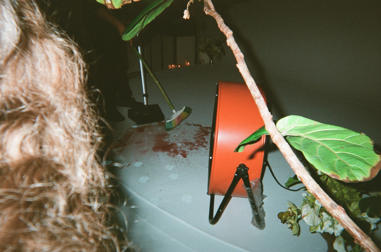Disposable camera photo from Kate & Matt's wedding