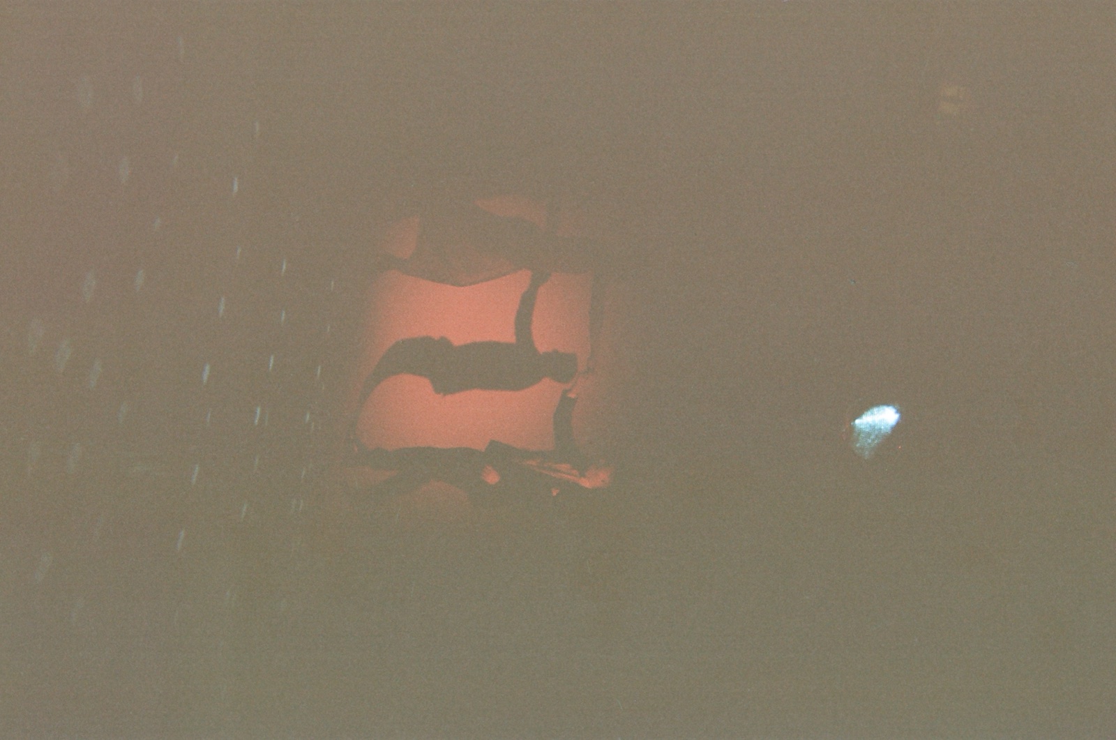 Disposable camera photo from Kate & Matt's wedding