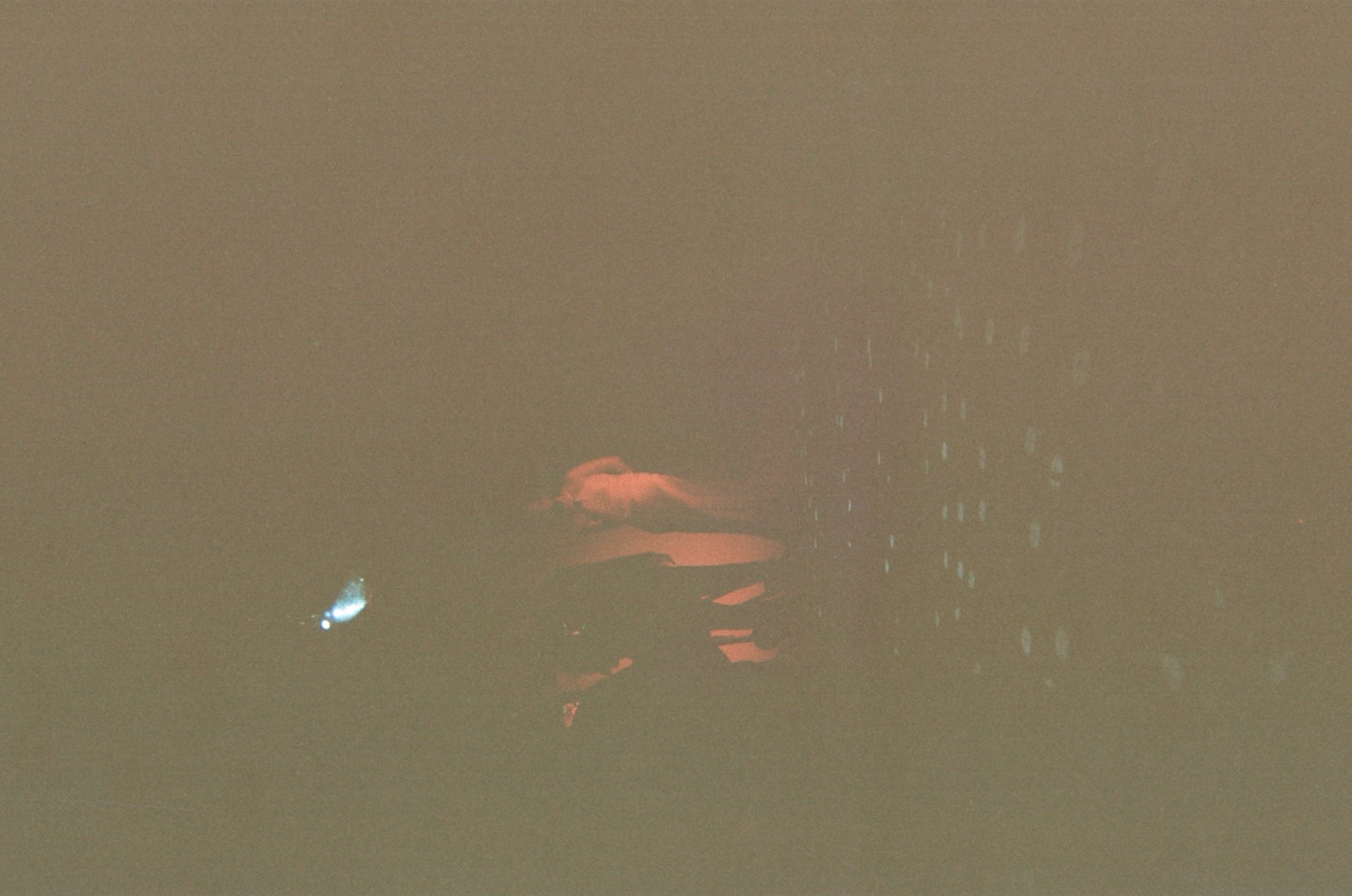 Disposable camera photo from Kate & Matt's wedding