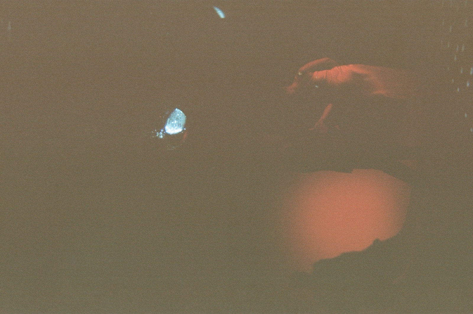 Disposable camera photo from Kate & Matt's wedding