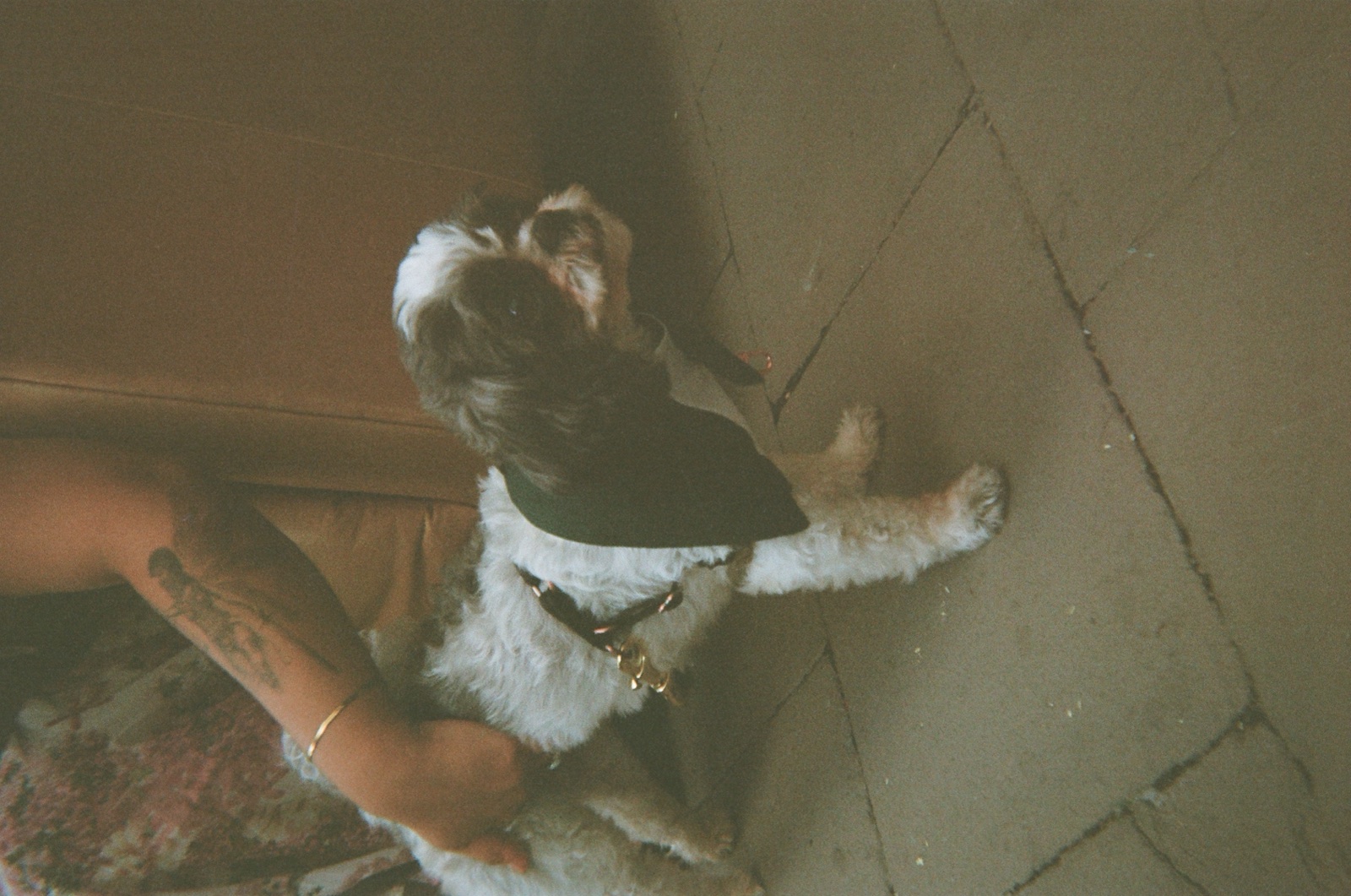 Disposable camera photo from Kate & Matt's wedding