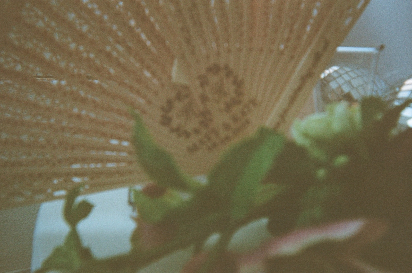 Disposable camera photo from Kate & Matt's wedding