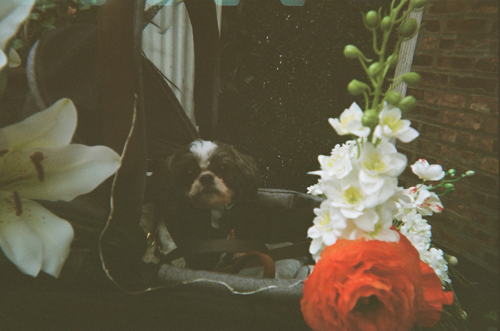 Disposable camera photo from Kate & Matt's wedding