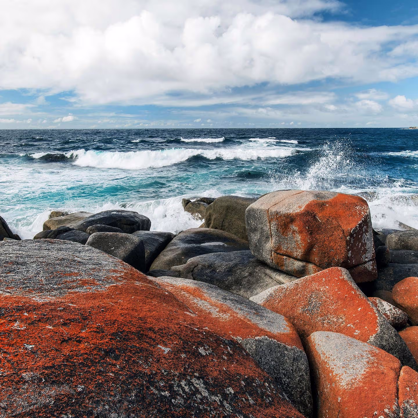 A rocky coastline