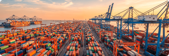 logistics and supply chain