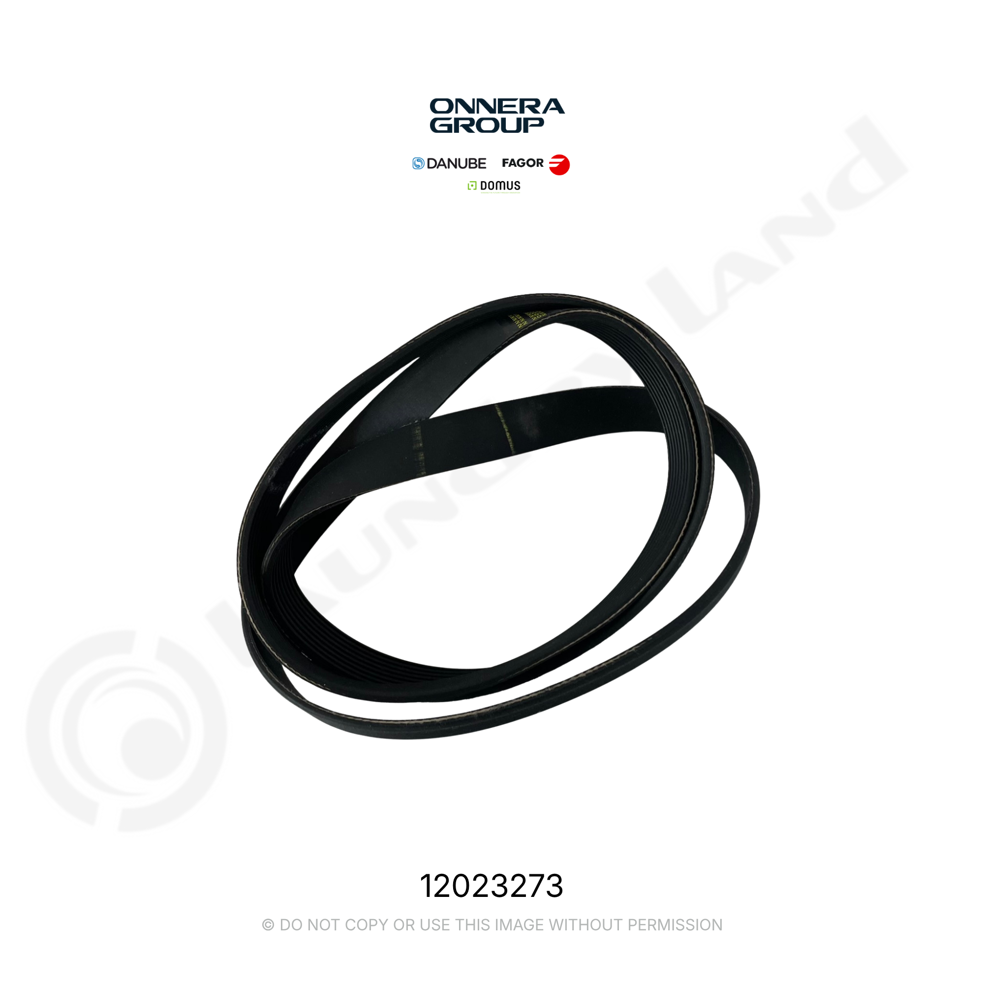 BELT 8