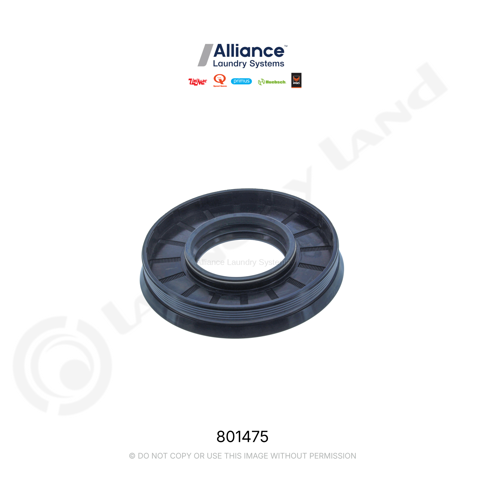 SEAL RADIAL LIP