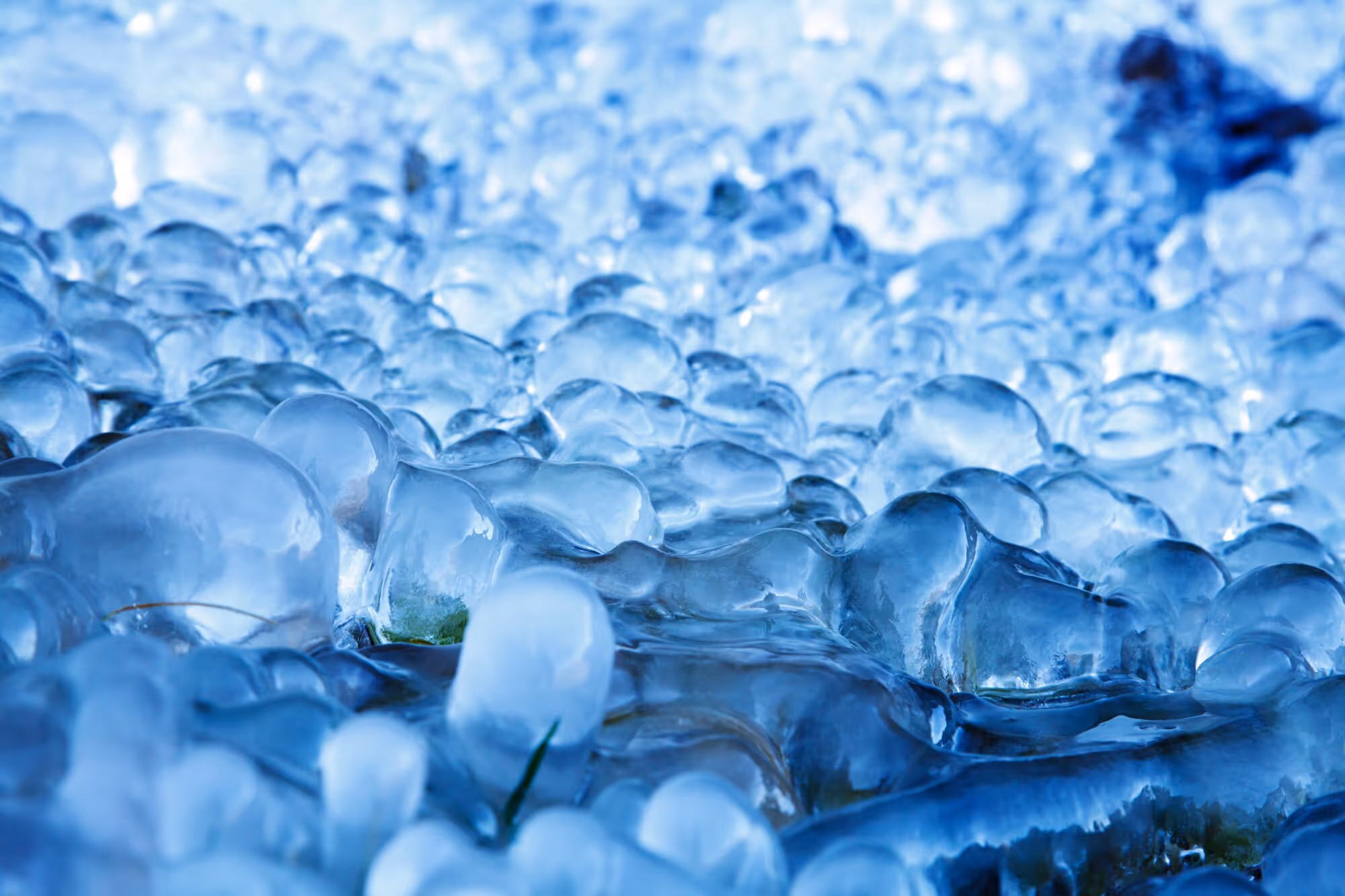 Close-up of translucent blue ice cubes with soft, organic shapes