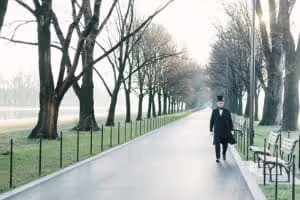 Lone figure walking down tree-lined path on misty winter morning