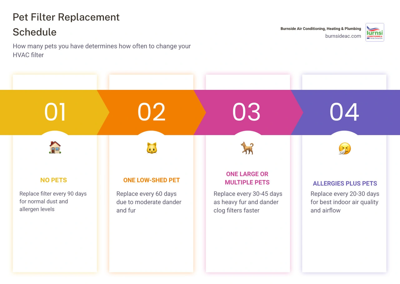 Infographic showing pet filter change frequency by pet count, filter thickness, and household type infographic
