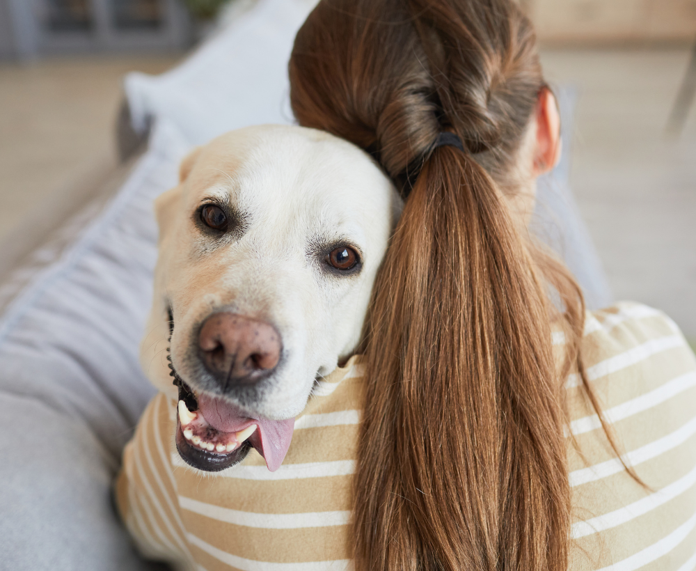 分離焦慮毛孩陪伴-寵物保姆