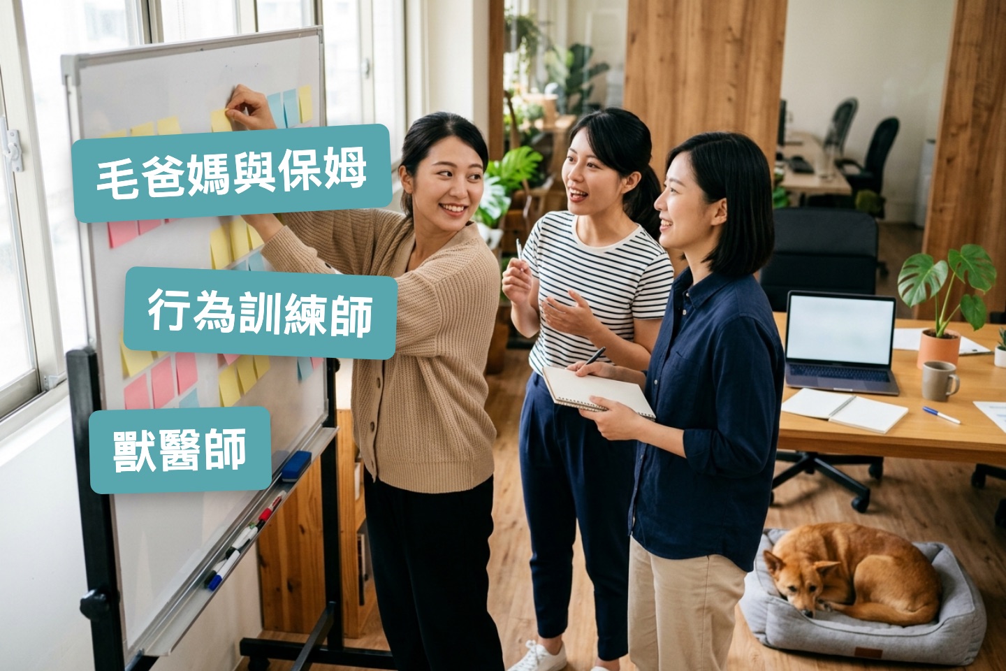 團隊更新教材