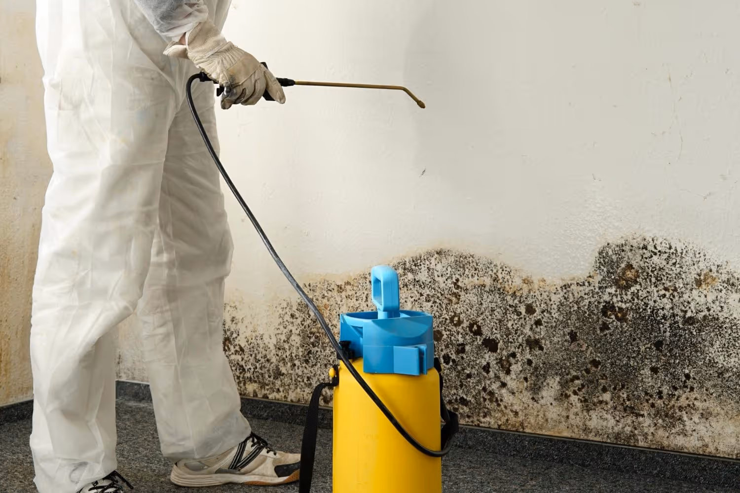 Restoration technician treating microbial growth in field training.