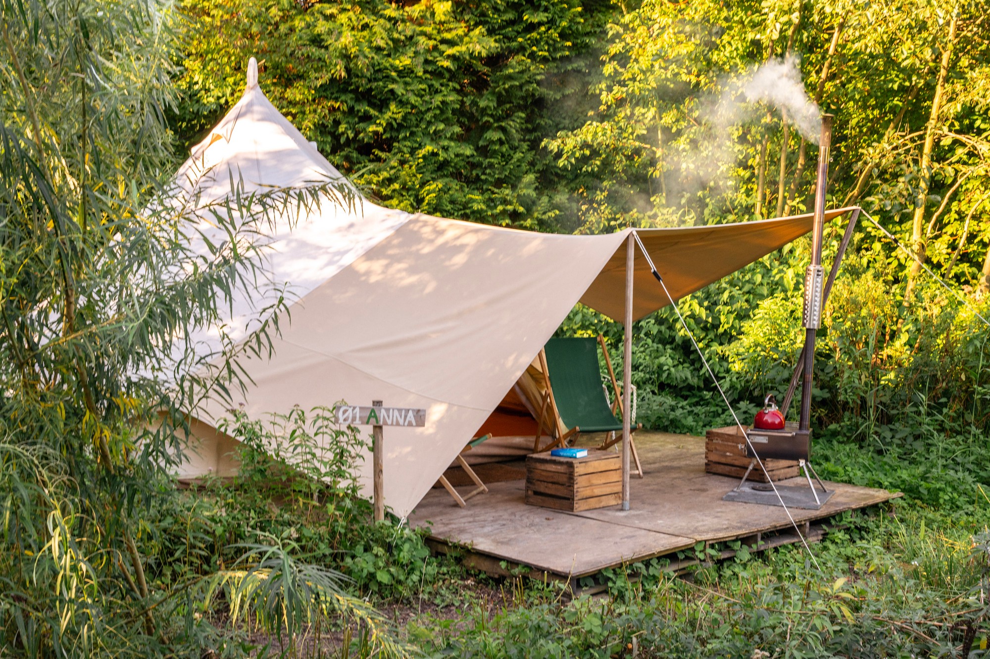 Solo Tipi