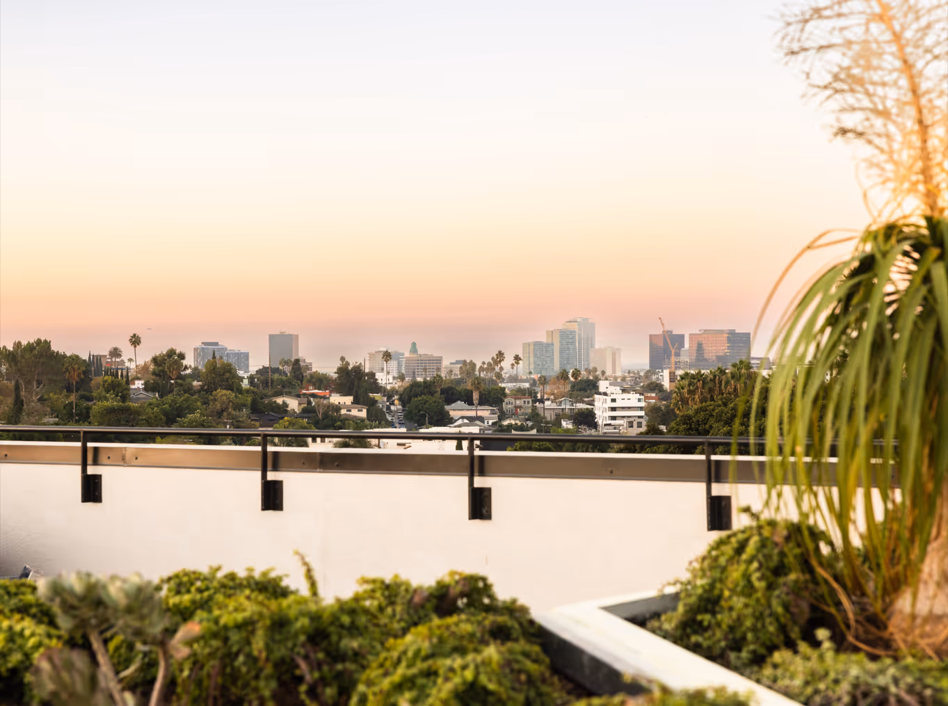 Rooftop view overlooking a cityscape with trees, buildings, and a pastel sunset sky.
