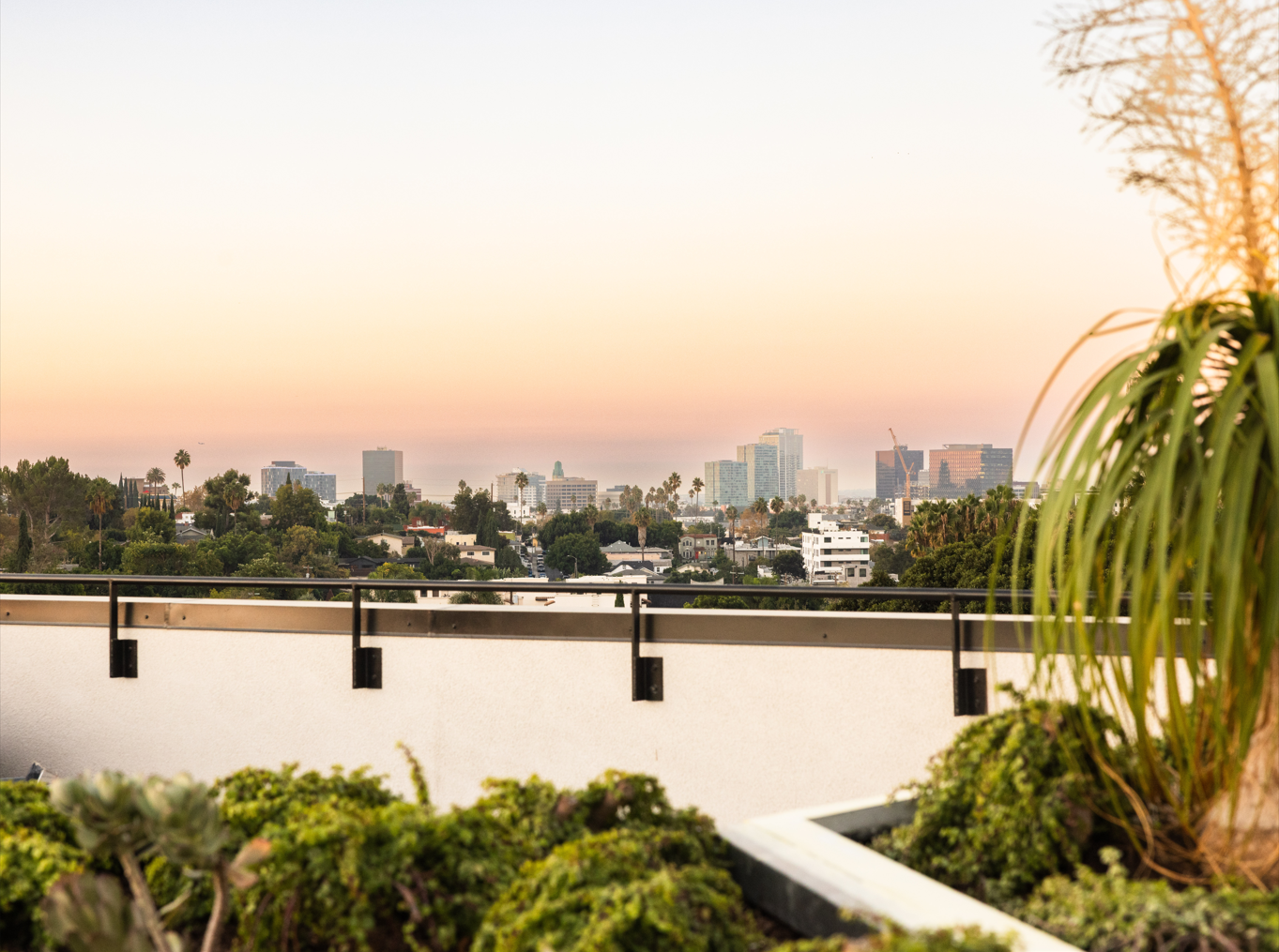 Rooftop view overlooking a cityscape with trees, buildings, and a pastel sunset sky.