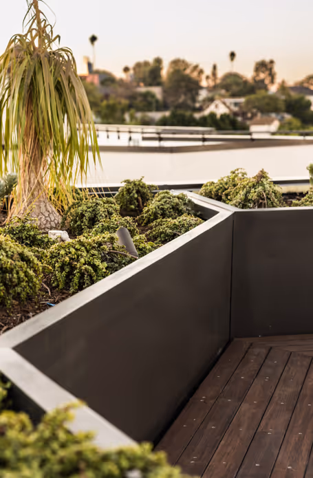 Raised black planter box with green shrubs and a small tree on a wooden deck, with a suburban neighborhood blurred in the background during sunset.