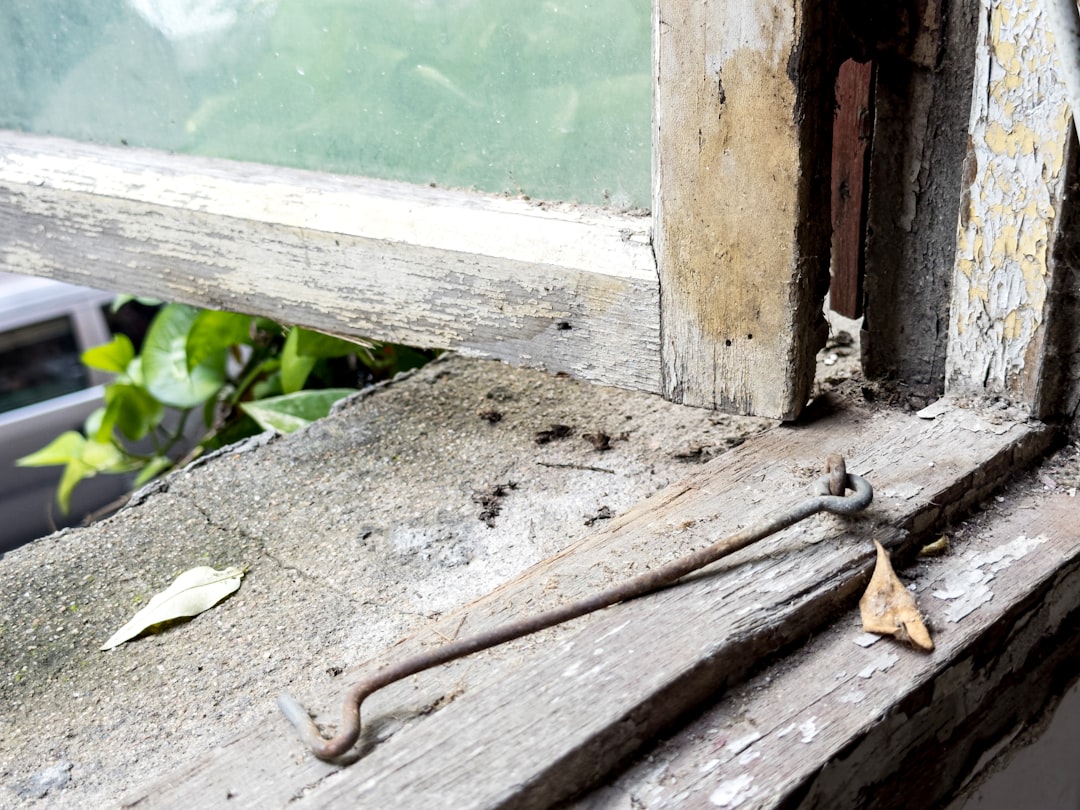Removing old window sashes from the existing frame Removing old window sashes from the existing frame