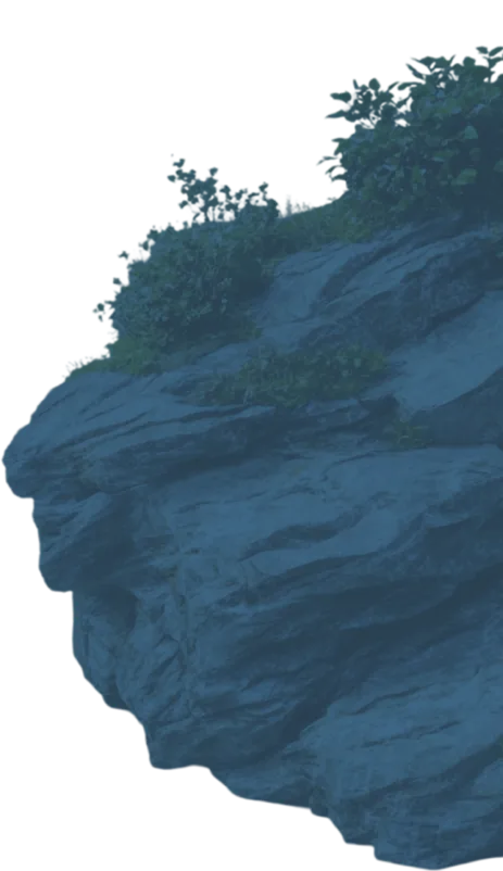 Big stone