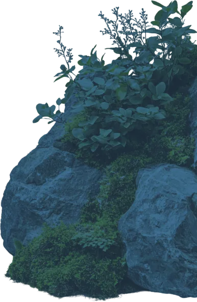 Blue stone