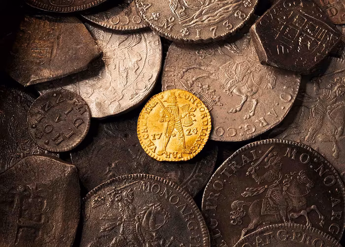 Collector examining coins from a collection