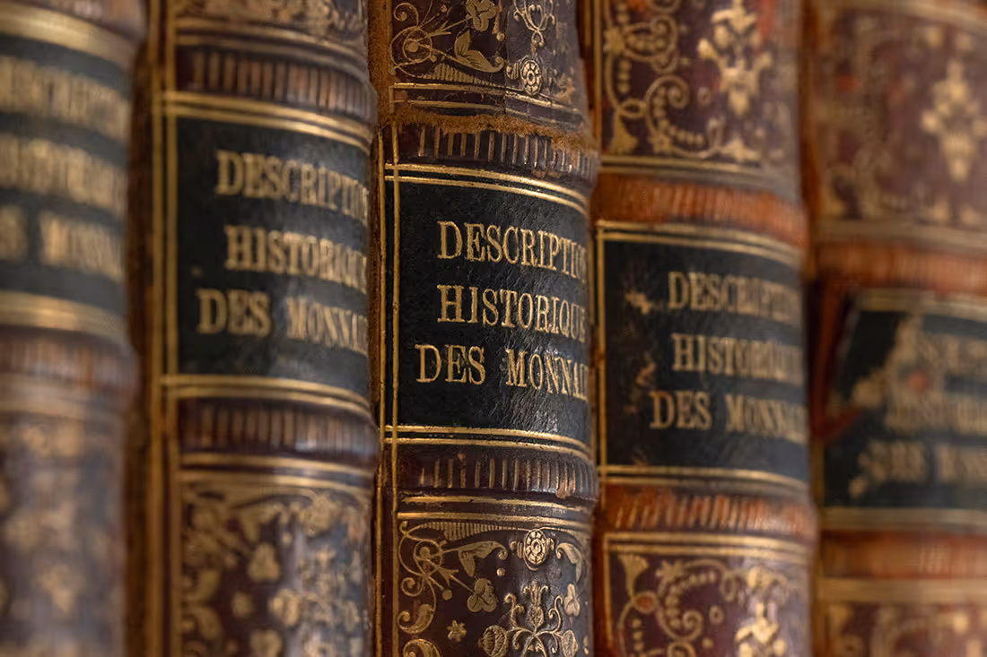 Close-up van oude leren boekenruggen met vergulde Franse titels en decoratieve patronen.