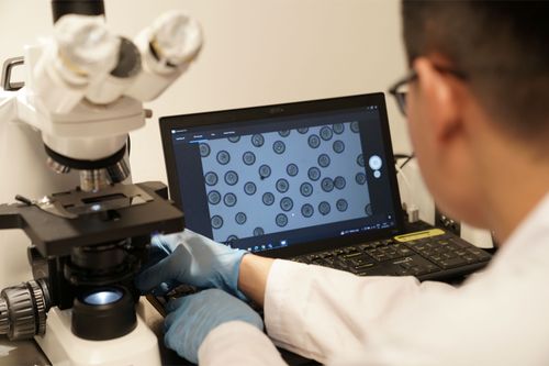 Machine and screen in action