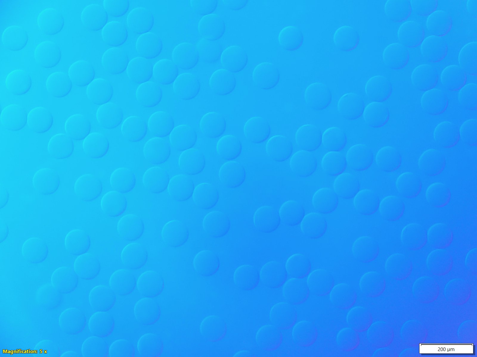 Alginate beads in water