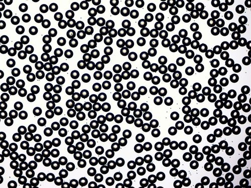 PLGA microparticles