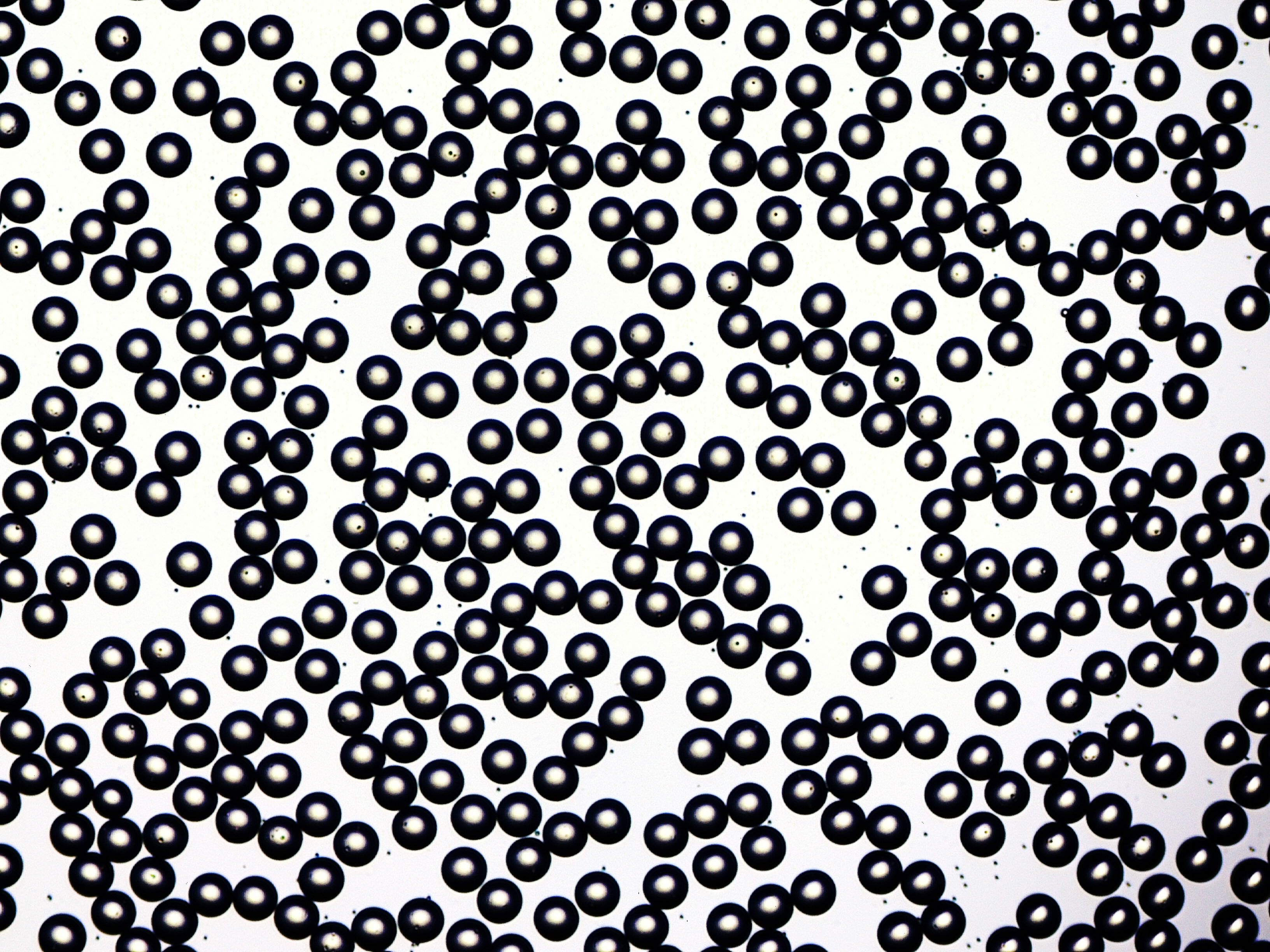 PLGA microparticles