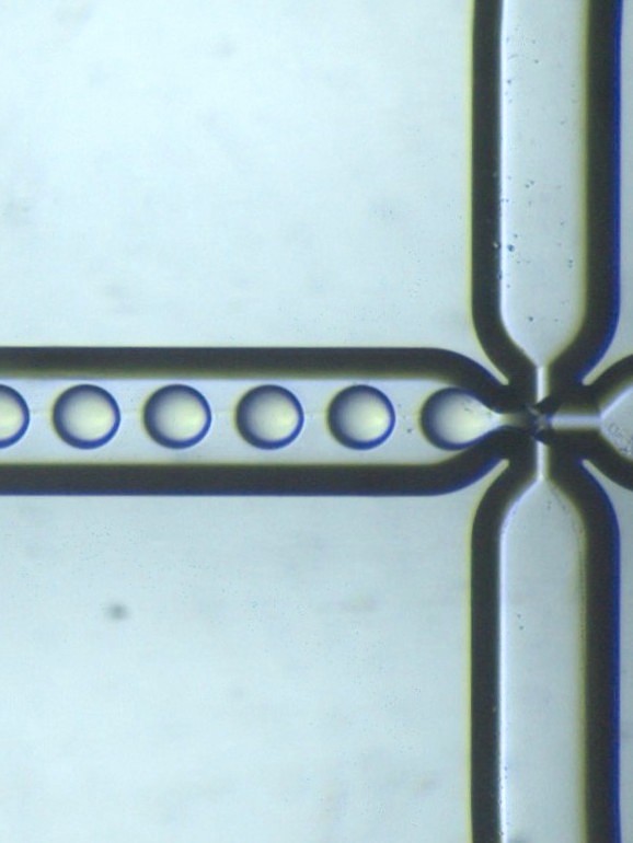 Microfluidics is revolutionizing science
