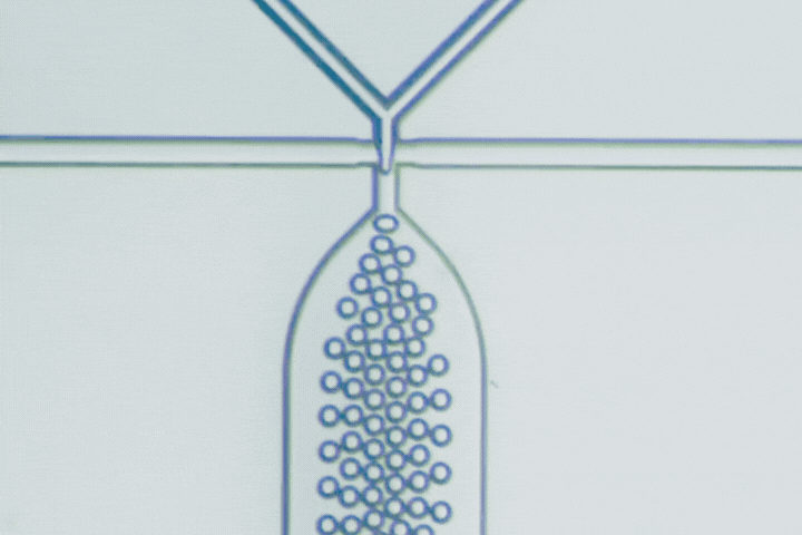 Accelerating lab experimentation with a modular, tubeless microfluidic system