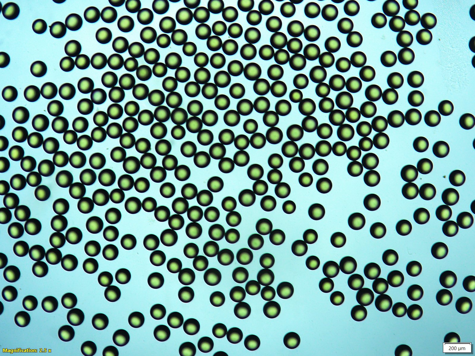 Turning random encapsulation into predictable single-cell control 