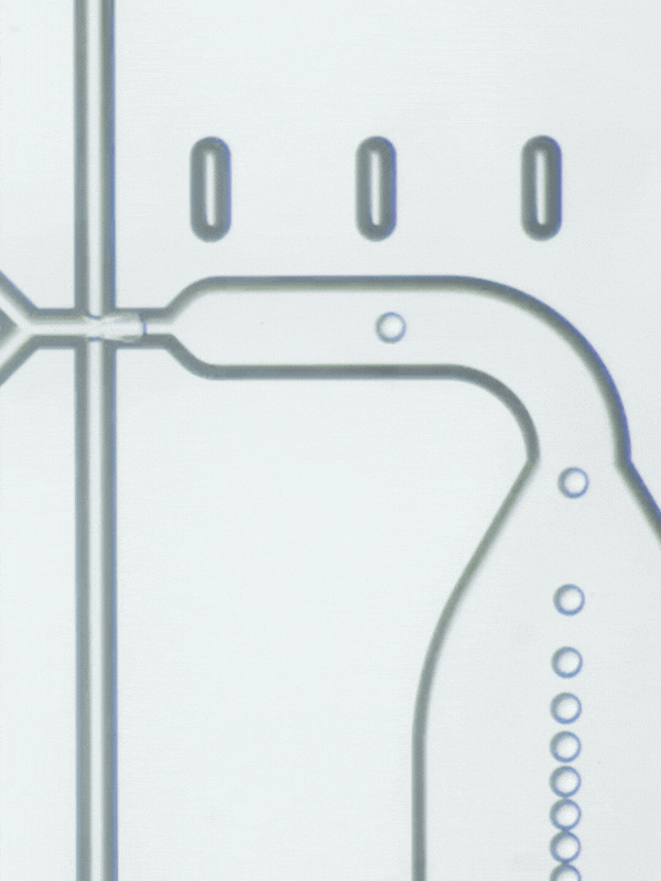 Beyond the junction: Wider design considerations for microfluidic chip engineering